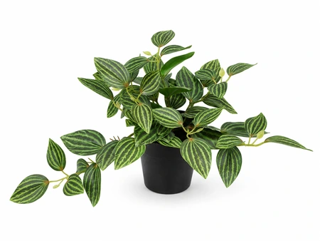 Kunstplant Zebrina H 20 cm