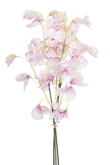 Lathyrus Bundle Tak Zijde - 48cm Roze x3