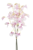 Lathyrus bundle x3 lt pink 48cm