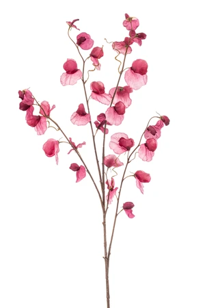 Lathyrus spray x4 fuchsia 110cm