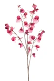 Lathyrus spray x4 fuchsia 110cm