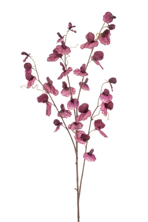 Lathyrus spray x4 purple 110cm
