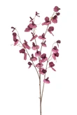 Lathyrus spray x4 purple 110cm