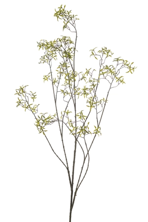 Leaf spring spray green 135cm