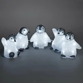 LED acryl 5 baby pinguins 40L koelwit IP44 24v