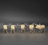 LED acryl 5 elanden 40L warmwit IP44 24v