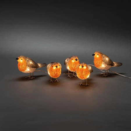 LED acryl 5 vogeltjes herfstkleur 40L warmwit IP44 24V - afbeelding 1