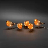 LED acryl 5 vogeltjes herfstkleur 40L warmwit IP44 24V - afbeelding 1