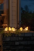 LED acryl 5 vogeltjes herfstkleur 40L warmwit IP44 24V - afbeelding 2