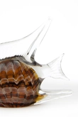 Light & Living Glazen Ornament FISH Bruin - afbeelding 3