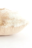 Light & Living Kussen Velora 60X30 cm Bruin Crème - afbeelding 3
