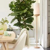 Light & Living Vloerlamp D23x159cm DANIA hout print crème - afbeelding 3