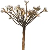 Lumineo bereklauw tak met LED 35 x 35 x 80 cm warm wit