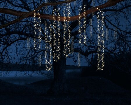 Lumineo LED Cascade lights 480L Warm wit - 200 cm - afbeelding 3