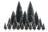 Luville Bristle bomen diverse soorten (21 stuks) - Ø 8 x H 22 cm