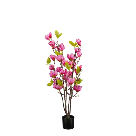 Magnolia boom in pot fuchsia - h100xd40cm