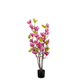 Magnolia boom in pot fuchsia - h100xd40cm