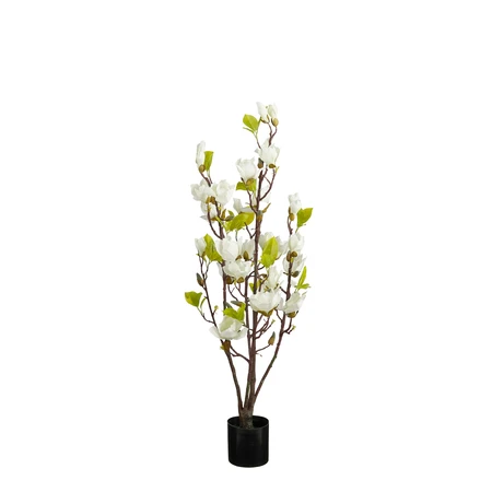Magnolia boom in pot wit - h100xd40cm