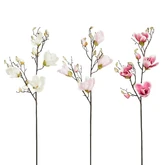 Magnolia fuchsia l.roze creme 3 assorti - l85cm