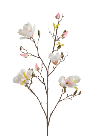 Magnolia spray cream/pink 105cm