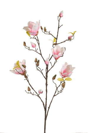 Magnolia Tak Zijde - 105cm Roze