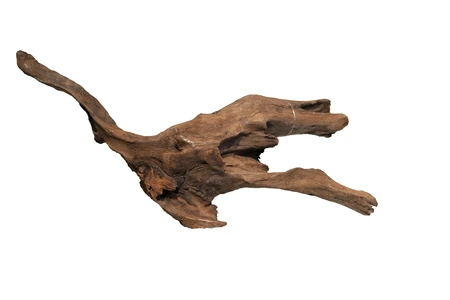 Mangrove Aged Wood Medium