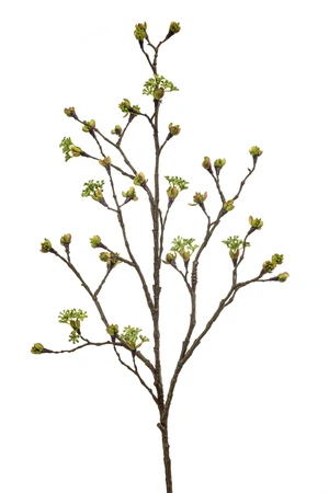 Maple fruit spray green 110cm