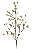 Maple fruit spray green 110cm