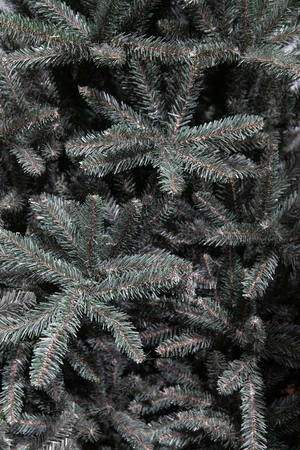 Matterhorn x-mas tree newgrowth blue - h120xd94cm - afbeelding 2