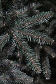 Matterhorn x-mas tree newgrowth blue - h185xd122cm - afbeelding 3