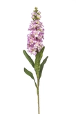 Matthiola spray lt purple 80cm
