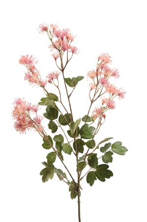 Meadow spray pink 70cm