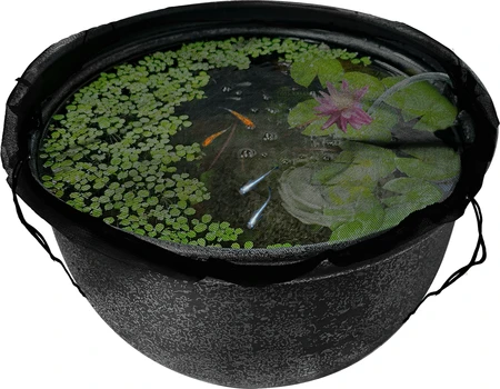 Medaka Afdeknet - afbeelding 1