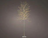 MicroLED boom d70h180c gd/wwt/k.wrm - afbeelding 1
