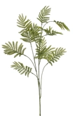 Mimosa lvs spray green 130cm