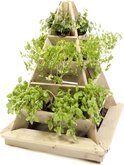 Mini Garden Pyramide