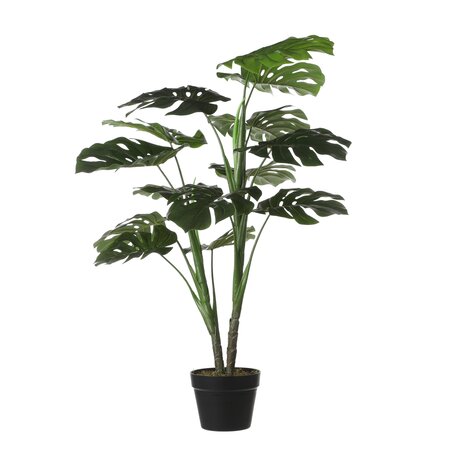 Monstera in pot groen - h100xd70cm