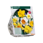 Narcis Trompet, Mix per 15