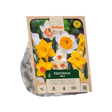 Narcissus Mixed per 5
