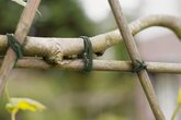 Nature Bindbuis groen Ø3mmx50m - afbeelding 5