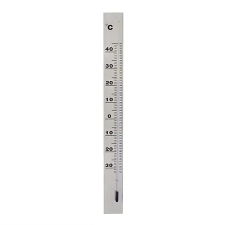 Nature Muurthermometer Aluminium H37Cm