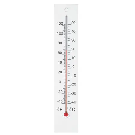 Nature Muurthermometer Plexiglas H21Cm