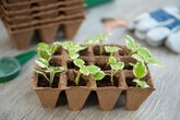 Nature Turfpottrays - 6 trays van 12 stuks - H5x4x4cm - afbeelding 2