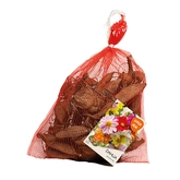 Net - Dahlia seedling Unwinn mixed per 7