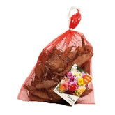 Net - Dahlia seedling Variety mixed per 7