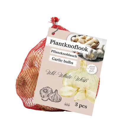 Netlon - Knoflook wit per 3