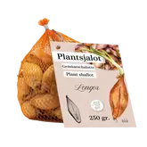 Netlon - Sjalot Longor (250 gram)