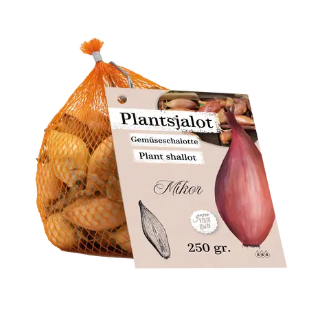 Netlon - Sjalot Mikor (250 gram)