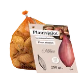 Netlon - Sjalot Mikor (250 gram)