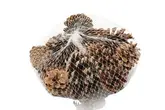 Oostenrijkers 15 stuks naturel